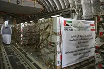 Carga de ayuda emirat&iacute; en un avi&oacute;n. (WAM)
