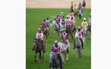 Una edici&oacute;n del Festival de Resistencia Su Alteza el Jeque Mohammed bin Rashid Al Maktoum en Dubai. (WAM)