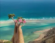 Una imagen de la isla de Socotra. (X)
