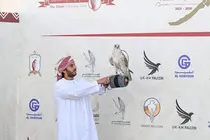 Un emirat&iacute; sostiene a su halc&oacute;n. (WAM)
