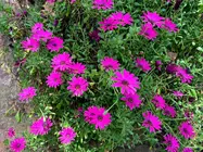 Imagen a modo ilustrativo. (EL CORREO)