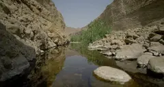 Wadi Wurayah en el emirato de Fujairah. (WAM)