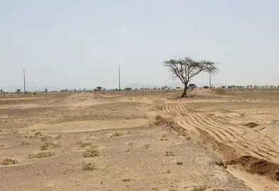 El desierto del emirato de Sharjah. (EL CORREO)