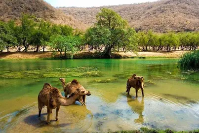 Una imagen de Salalah en el Sultanato de Om&aacute;n. (Fuente externa)