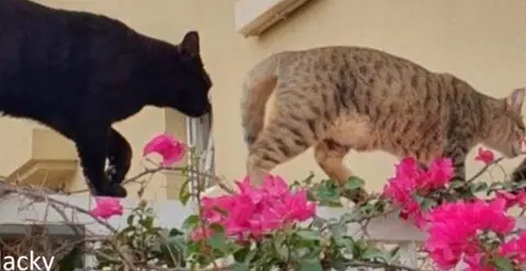 Una imagen a modo ilustrativo. (Facebook)