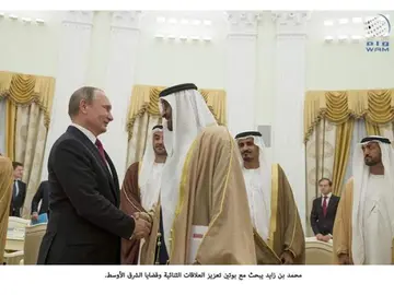 El presidente de EAU saluda a Putin durante una visita en 2016. (WAM)