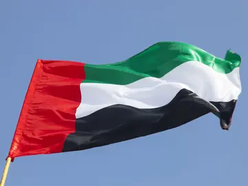 Bandera de Emiratos &Aacute;rabes Unidos. (Fuente externa)