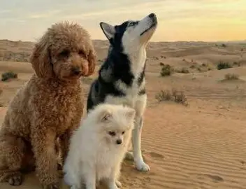 Una imagen a modo ilustrativo. (Instagram)