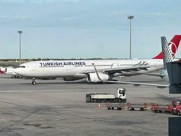 Un avi&oacute;n de Turkish Airlines. (EL CORREO)