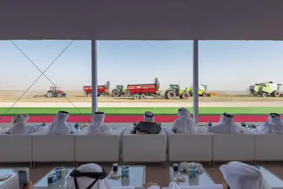Una imagen de la cuarta cosecha de trigo en Sharjah. (X)