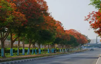 Una calle de la ciudad con &aacute;rboles de fuego. (Dubai Future Foundation)