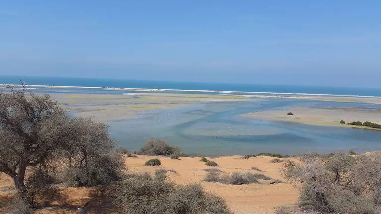 Vistas del área de manglares donde se va a realizar la limpieza. (EL CORREO)