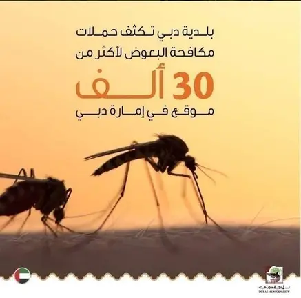 Una imagen a modo ilustrativo. (Fuente externa)