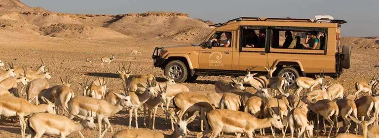 Sir Bani Yas Island en Abu Dhabi.