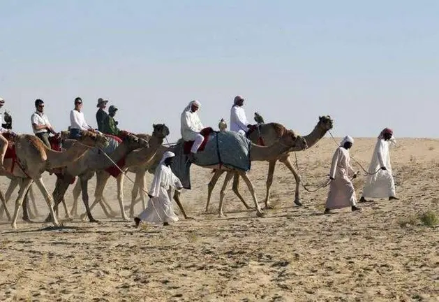 Una imagen del desierto de Al Dhafra en Abu Dhabi. (Fuente externa)
