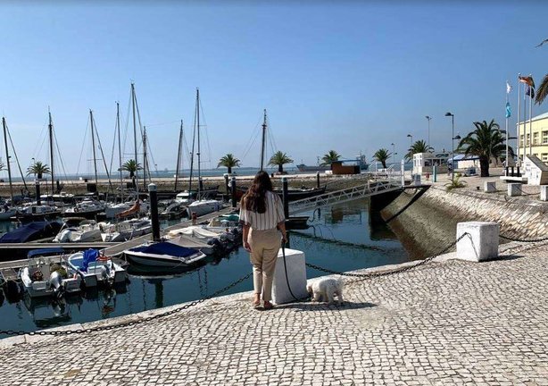 El puerto de Setúbal en Portugal. (EL CORREO)