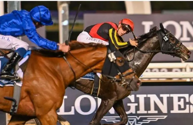 El caballo ganador en la Copa del Mundo de Dubai 2022. (Twitter)