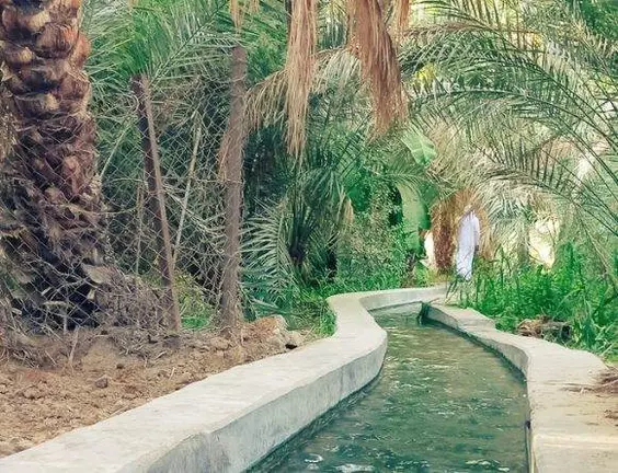 Una imagen de Twitter de la ciudad de Al Ain.