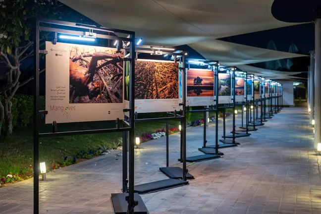 Una imagen de la exposición fotográfica de manglares. (WAM)