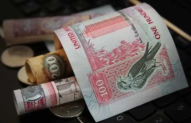 billetes de dirhams emiratíes. (WAM)