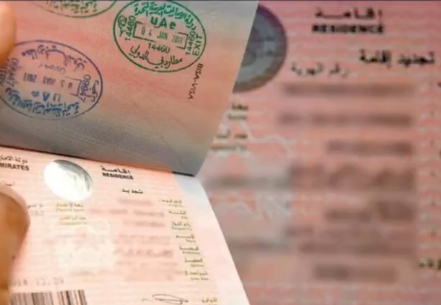 Un visado de EAU en un pasaporte. (X)