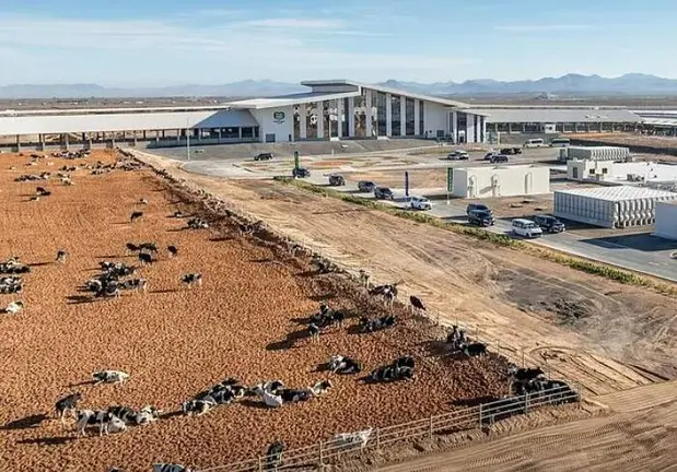 La granja de Mleiha en Sharjah. (Fuente externa)