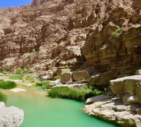 Wadi Shaam en RAK. (Fuente externa)