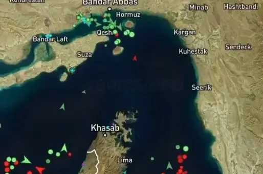 Movimiento de buques en el estrecho de Ormuz. (X)