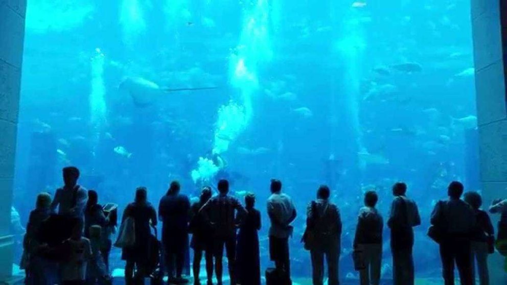Lost Chambers Aquariums en el hotel Atlantis.