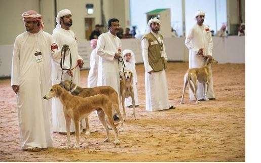 Un grupo de ciudadanos en una competición canina.