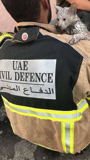 Un bombero de Dubai sostiene a un animal rescatado en la Torre Antorcha. (Defensa Civil)