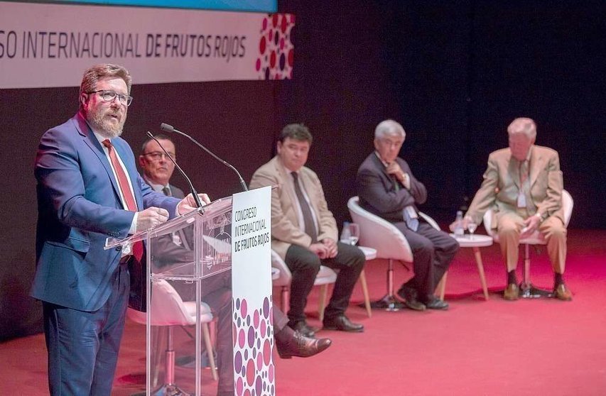 El consejero de Agricultura de la Junta de Andalucía, Rodrigo Sánchez Haro, durante su intervención en el Congreso Internacional de Frutos Rojos. (Cedida)