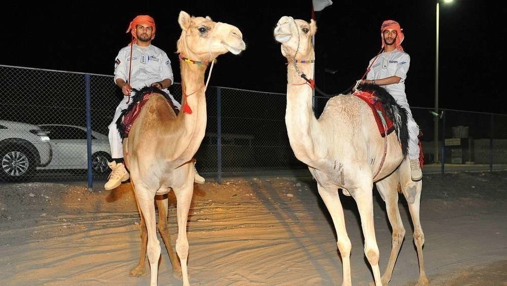 La nueva patrulla a camello de la Policía de Abu Dhabi. (WAM)