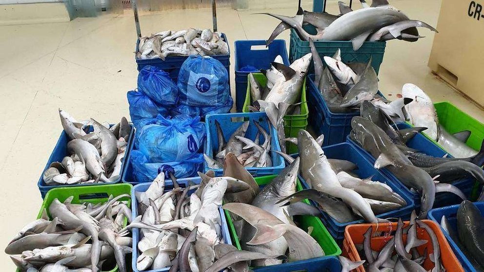 El Ministerio de Medio Ambiente divulgó esta imagen de la pesca confiscada.