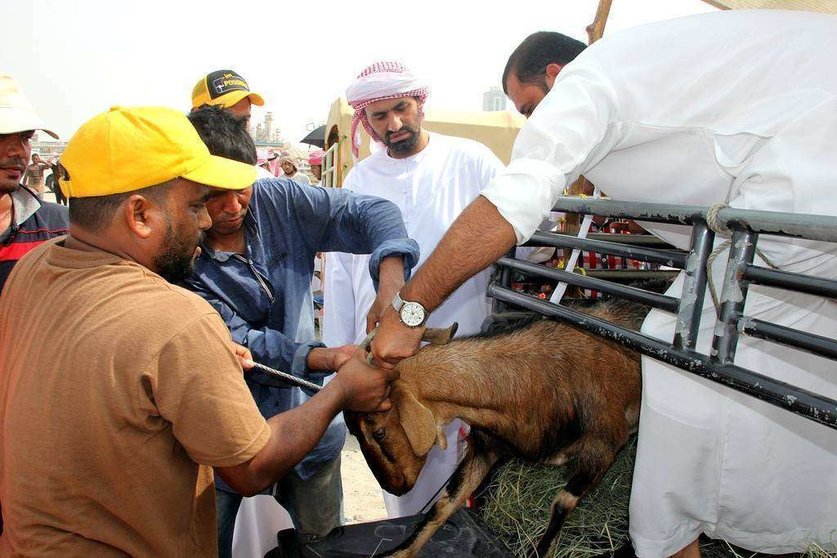 Un vendedor entrega el cordero a su comprador este sábado en el mercado de Ras Al Khaimah. (EL CORREO)
