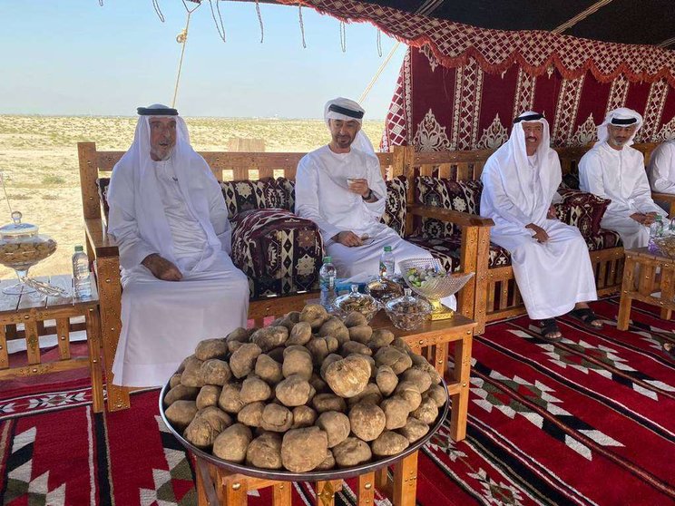 El presidente de EAU junto al príncipe heredero de Abu Dhabi. (WAM)