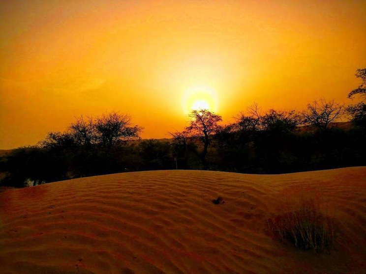 Una imagen del desierto de Emiratos Árabes Unidos. (EL CORREO)