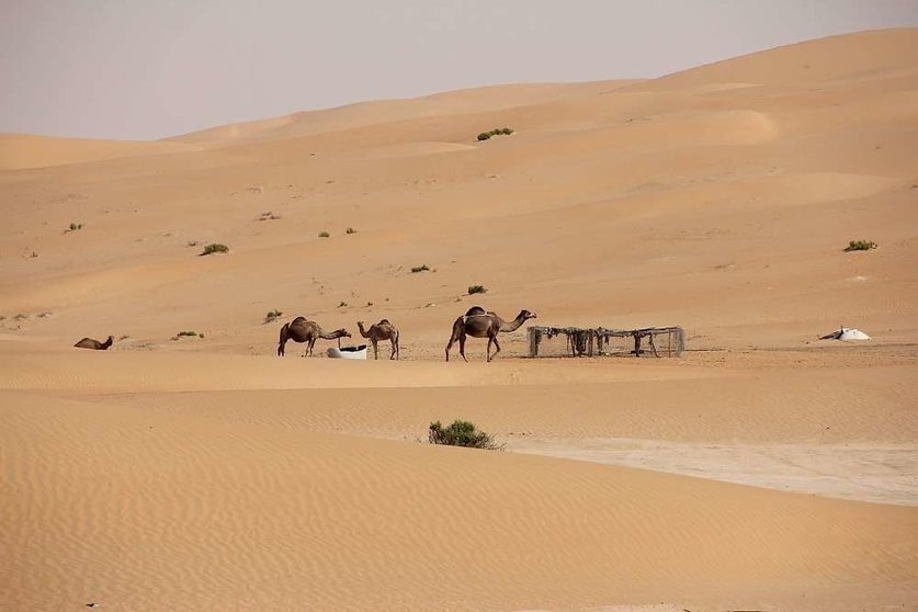 Desierto de Liwa, al sur de Abu Dhabi, donde las temperaturas pueden alcanzar los 50 grados. (EL CORREO)