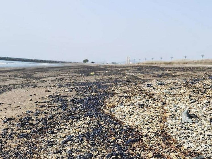 Un derrame de petróleo en Kalba . (Hisn Kalba Instagram)