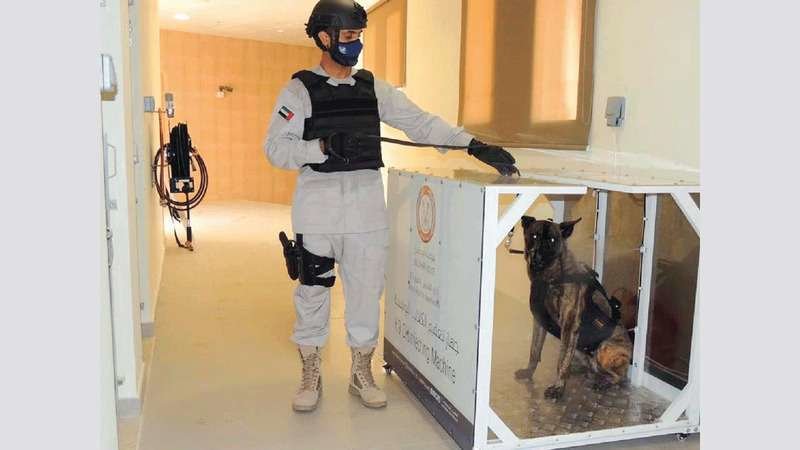 Perros rastreadores de Emiratos Árabes. (Emarat al Youm)