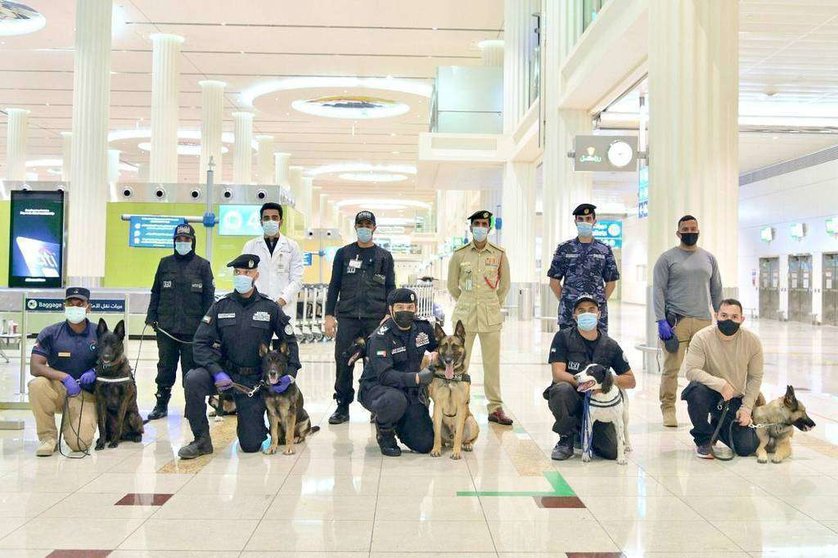 Las unidades caninas para detectar el coronavirus ya se encuentran operativas en los aeropuertos de Emiratos Árabes. (WAM)