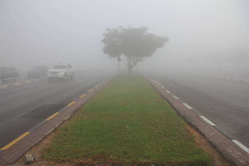 Niebla sobre una carretera de Ras Al Khaimah. (R. Pérez)