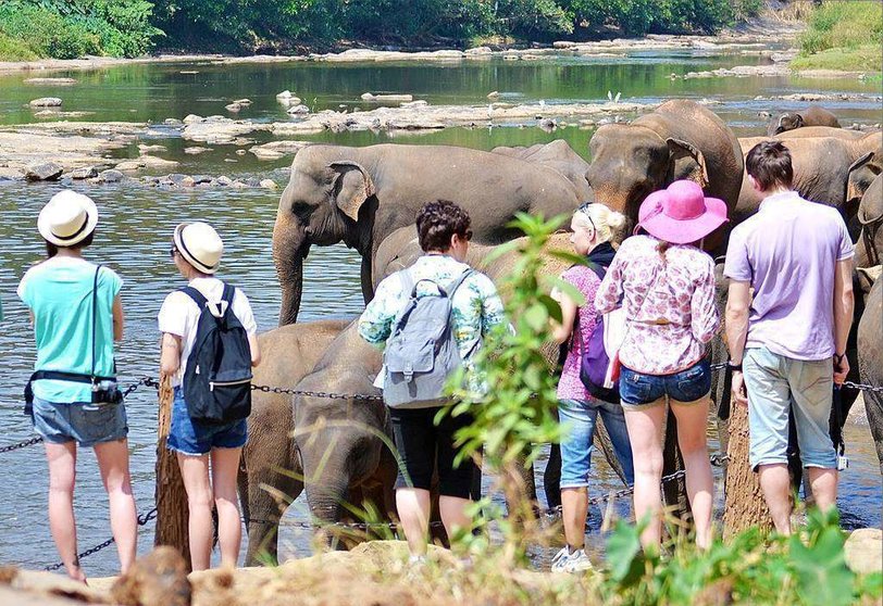Turistas observan a una manada de elefantes en Sri Lnaka. (pxhere.com)