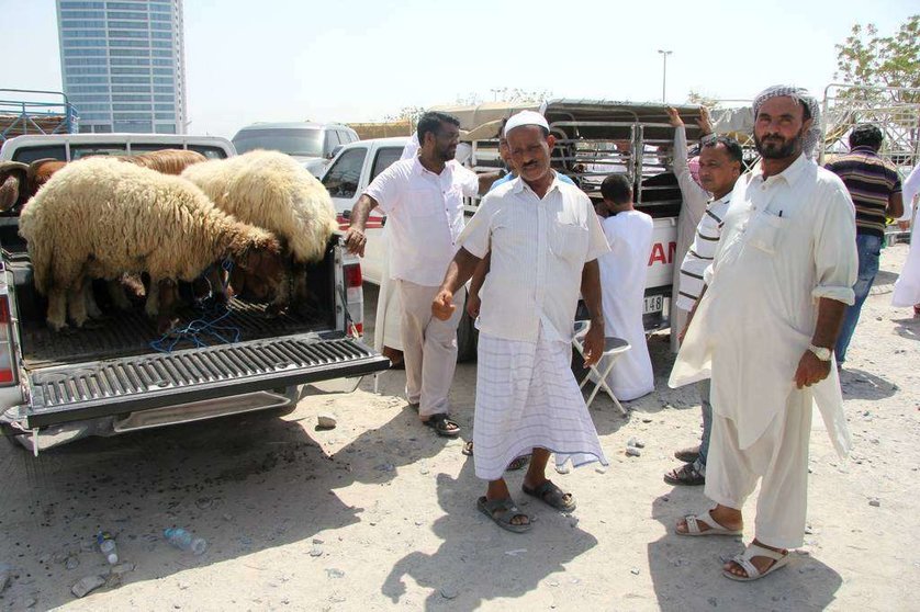 Imagen del mercado de corderos de Ras Al Khaimah. (R. Pérez)
