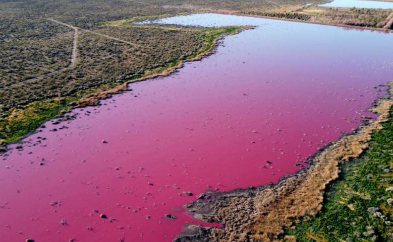 Vista aérea del lago rosado argentino. (Fuente externa)