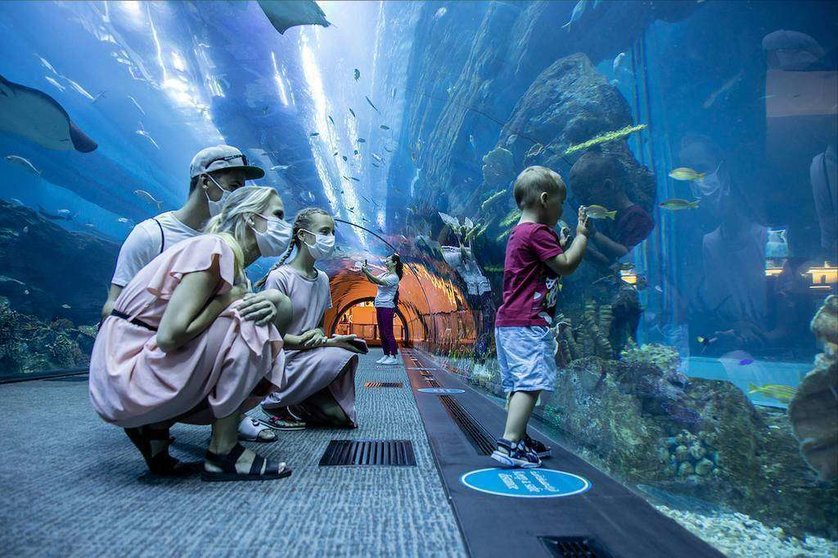 Una familia visita el acuario de Dubai Mall. (WAM)