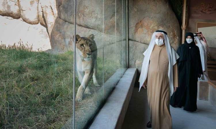 El gobernante de Sharjah durante safari. (Fuente externa)