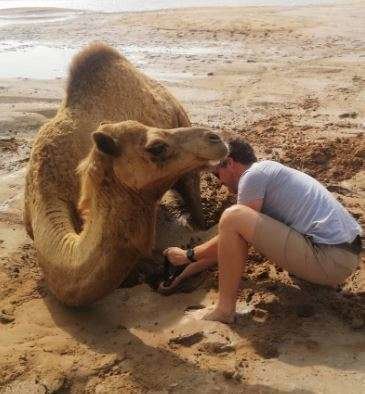 El camello atrapado en el fango. (Fuente externa)