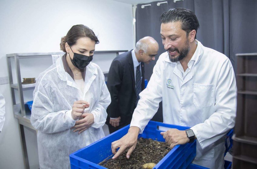 Emiratos lidera el primer proyecto de la región que reciclará desechos orgánicos para convertirlos en alimentos. (WAM)