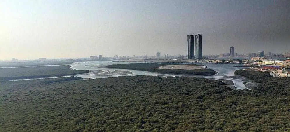 Vista de los manglares de Ras Al Khaimah. (Internet)